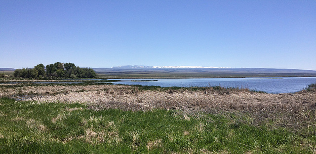 10000' Steens Mt from Buena Vista Ponds FullSizeRender