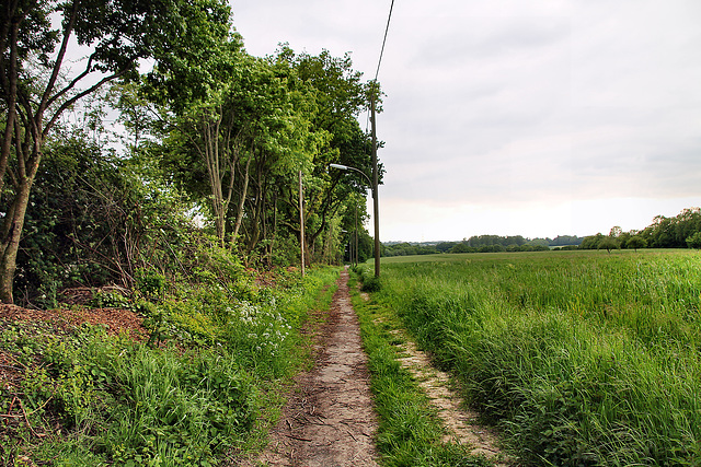 Holter Weg (Dortmund-Bövinghausen) / 20.05.2023