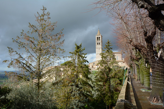 Italy, Assisi, Bell Tower of Basilica di Santa Chiara