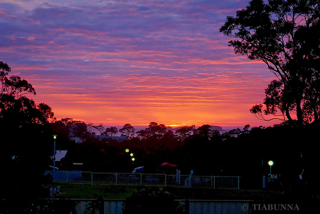 Sunrise from the patio