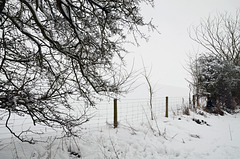 Snow Country Snow Country