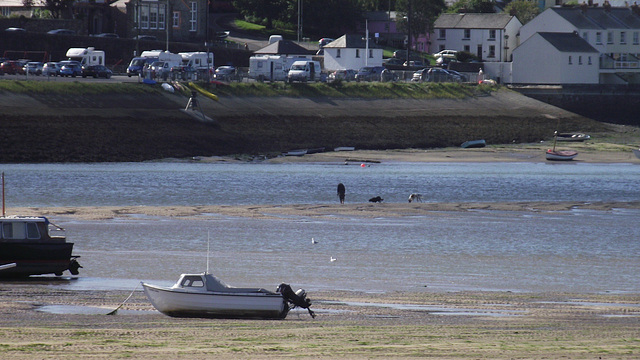 There was a man and his two dogs on the sandbank