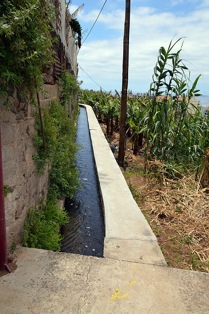 Unterwegs auf der Levada do Calvo in Funchal