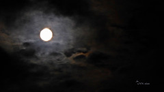 ... dunkel war's - der Mond schien helle ... (PiP) - la luce di luna
