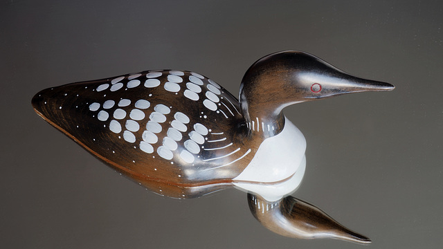 #53 - Peter Castell - Loon - 40̊ 1point