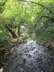 IMG 4541