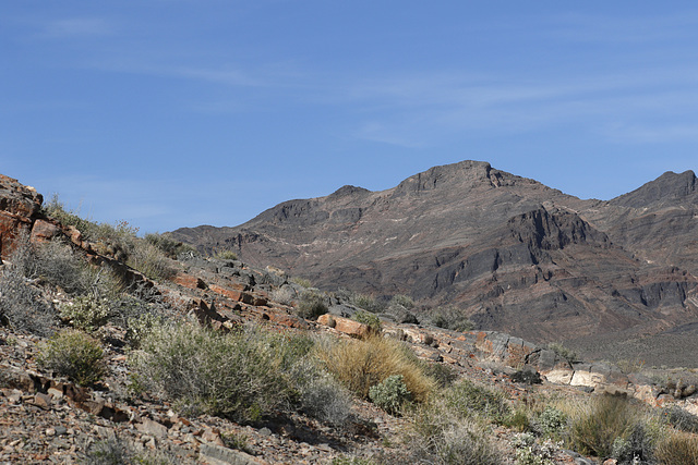 Ash Meadows