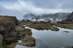 Tillamook Head from Crescent Beach