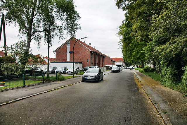 Brache (Dortmund-Bövinghausen) / 20.05.2023