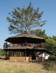 Built around a tree in Pai
