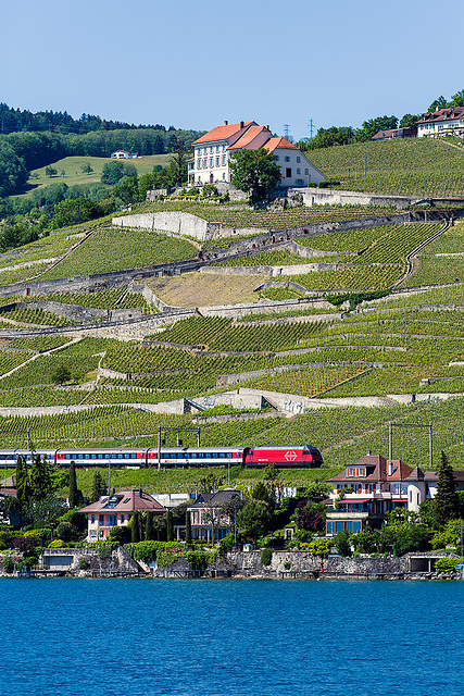 140524 Re460 Lavaux