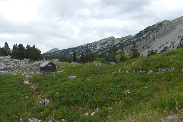 20170718 -23 Randos St Agnan en Vercors (194) al