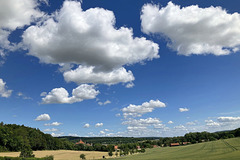 Happy Wild Wolkentag