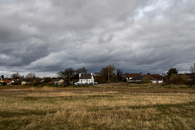 The harp from out on the marshes