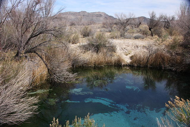 Crystal Spring