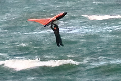Wing foiling