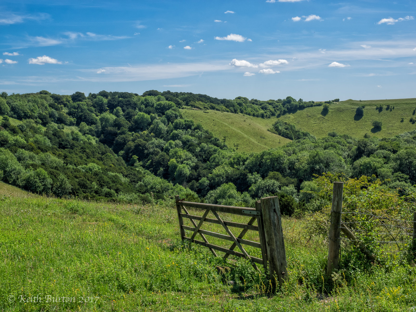 View from the top of Old Winchester Hill  (2)