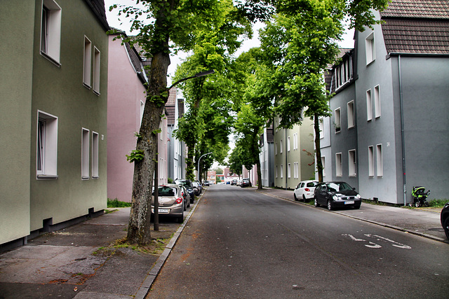 Neptunstraße (Dortmund-Bövinghausen) / 20.05.2023