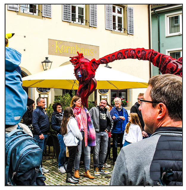 Staufen Herbst 24