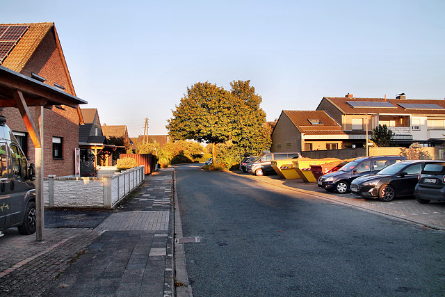 Nordstraße (Voerde-Friedrichsfeld) / 5.10.2024