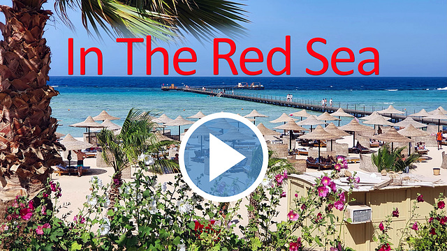 In The Red Sea