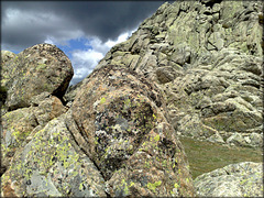 Granite and lichen I.
