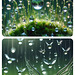 flying waterdrops