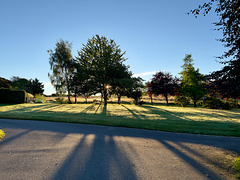 Dawn shadows