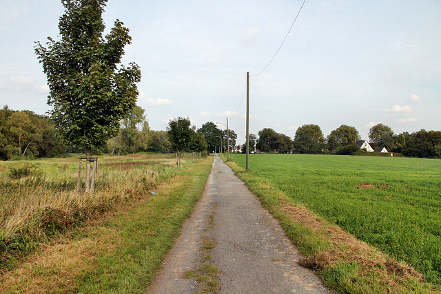 Nedleburg (Duisburg-Rumeln-Kaldenhausen) / 22.09.2017