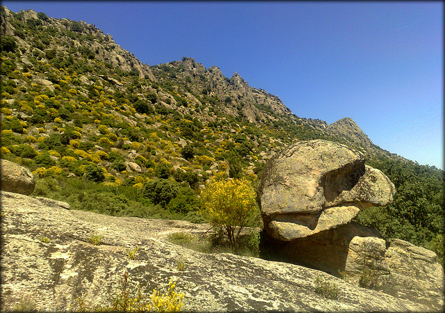 Vulture Head Rock?