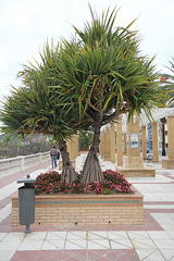 Paseo de la Marina Española