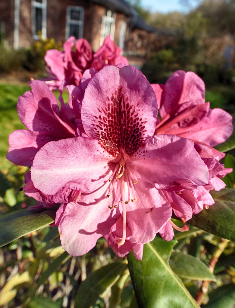 DSCF8426