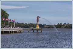 Seahorse in Kampot