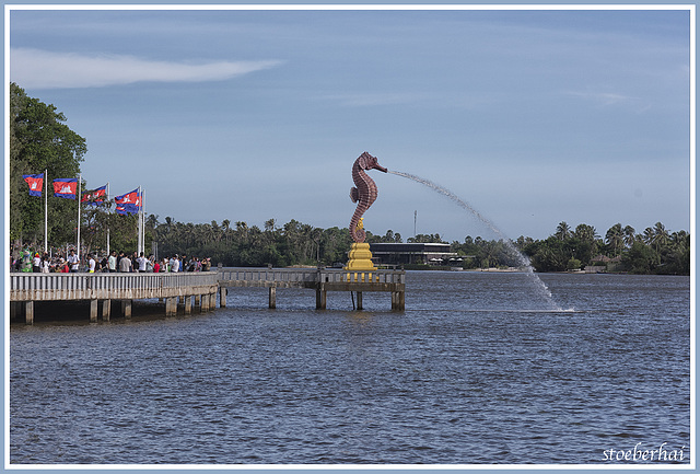 Seahorse in Kampot