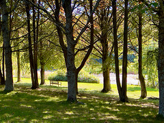The old bench by the lake