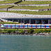 140524 Lavaux FLIRT 1