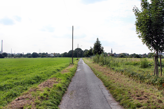 Nedleburg (Duisburg-Rumeln-Kaldenhausen) / 22.09.2017