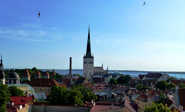 EE - Tallinn - View from Cathedral Hill to Olai Church