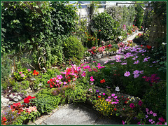 Garden, Saint Day, Cornwall