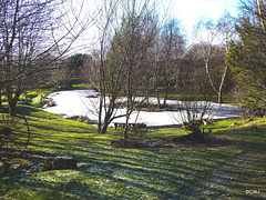 Snowpond!