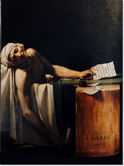 The Death of Marat ~ 1793
