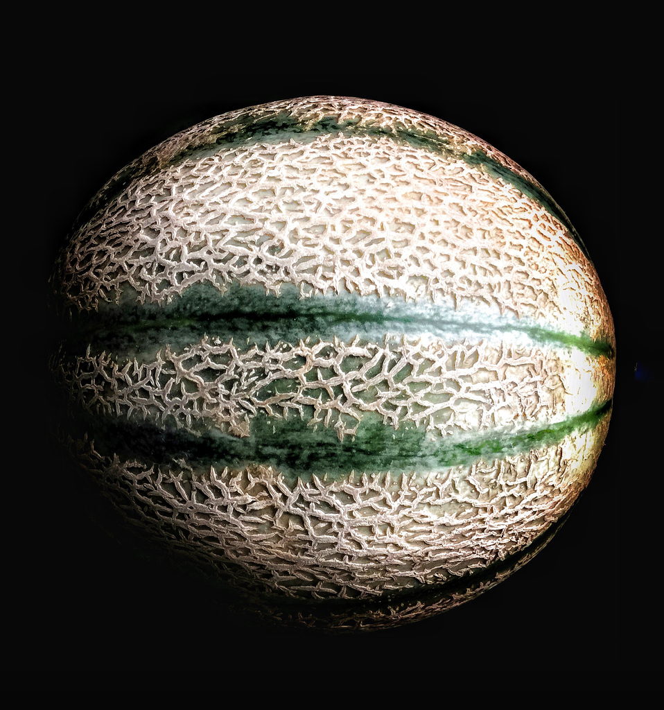 cantaloupe