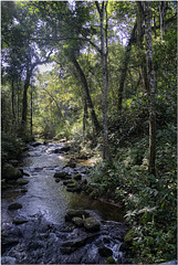 Periyar Waterfall