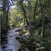 Periyar Waterfall