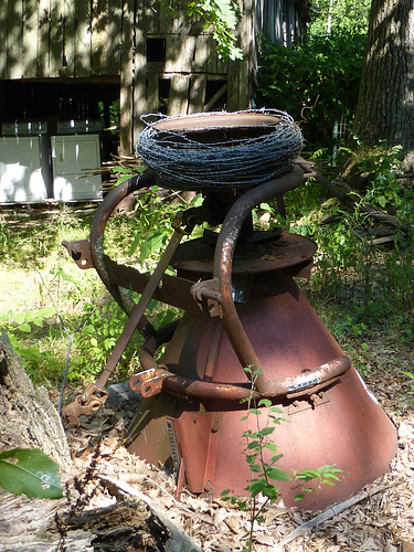 Kunst im Wald