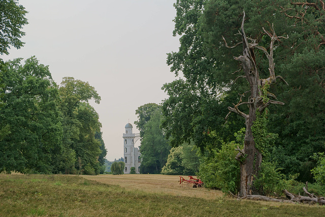 Landschaft mit Totholz