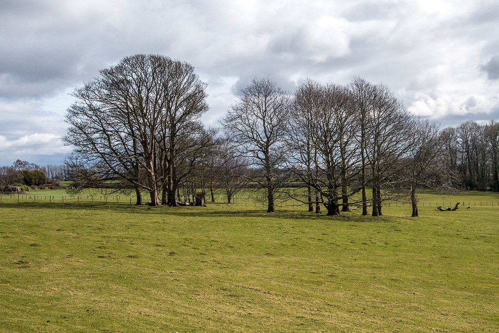 7.Cheshire contryside