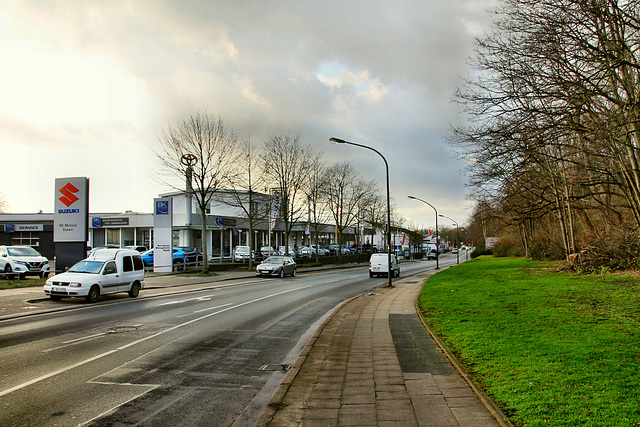 Krablerstraße (Essen-Vogelheim) / 18.01.2020