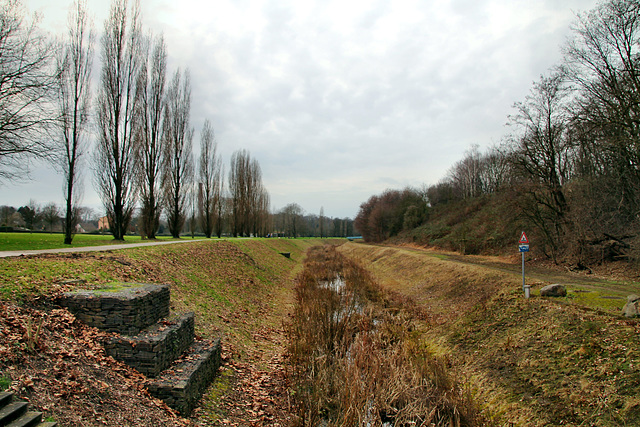 Alte Emscher in Untermeiderich (Duisburg) / 8.02.2020