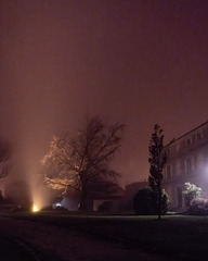 Brouillard de nuit